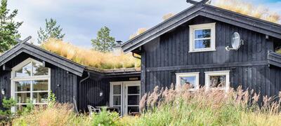 Hytte i Vrådal