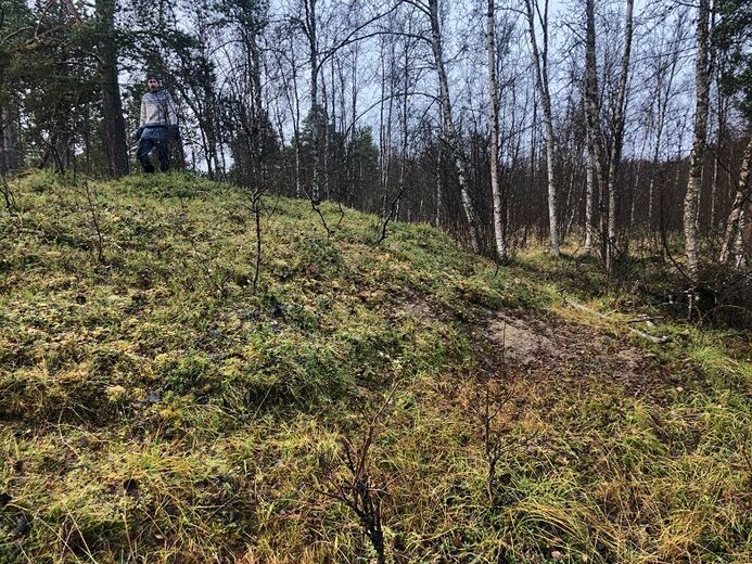 Gravhaug Gravhaug