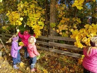 20201012_125938_200x150