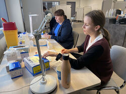 Lise+Flage+Karlsen+og+Beate+Lund+Opg%C3%