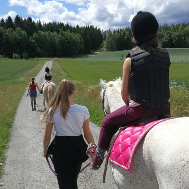 Vandring med hest Vandring med hest