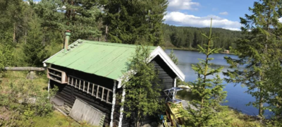Foto: Skjermdump fra salgsannonse