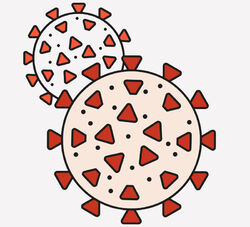 korona-2