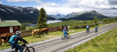 Foto: visitvaldres.no