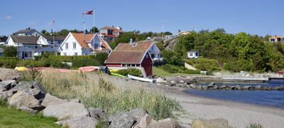 IMG_4911