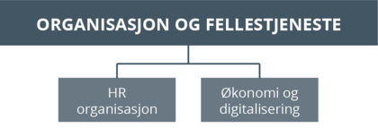 Organisasjonskart-org og fellestj-v10