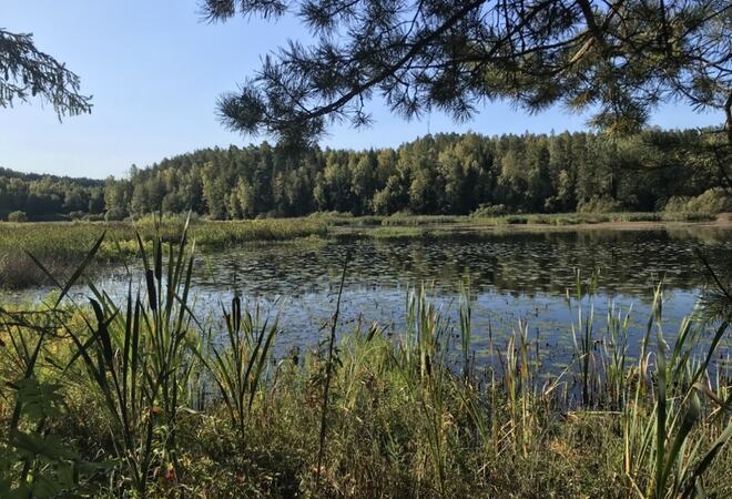 Foto av Slorene våtmarksområde tatt sommerstid