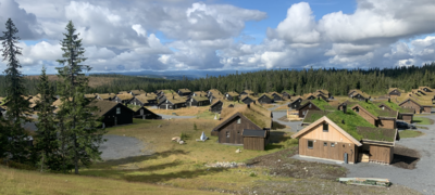 Denne utbyggingen på Sjusjøen skapte store overskrifter. Meterdype myrområder ble endevendt, fjernet og erstattet med faste masser. Her sviktet Ringsaker kommune. Det var grunneier Brøttum Almenning som stod for utbyggingen. Foto: NHF