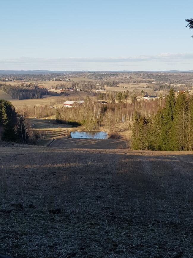 Utsikt fra Fjøseråsen