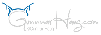 GunnarHaug_LogoBlueGray copy.jpg