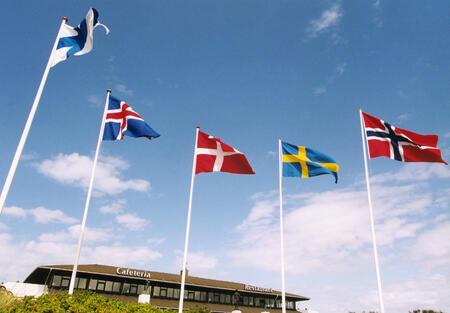 Flagg fra de nordiske landene vaier i vinden. Illustrasjonsbilde.