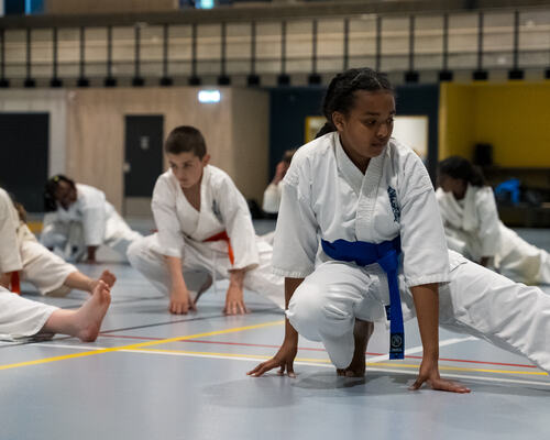 Karate1