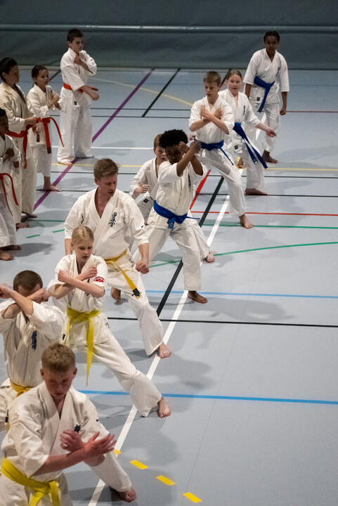 Bildet viser karate