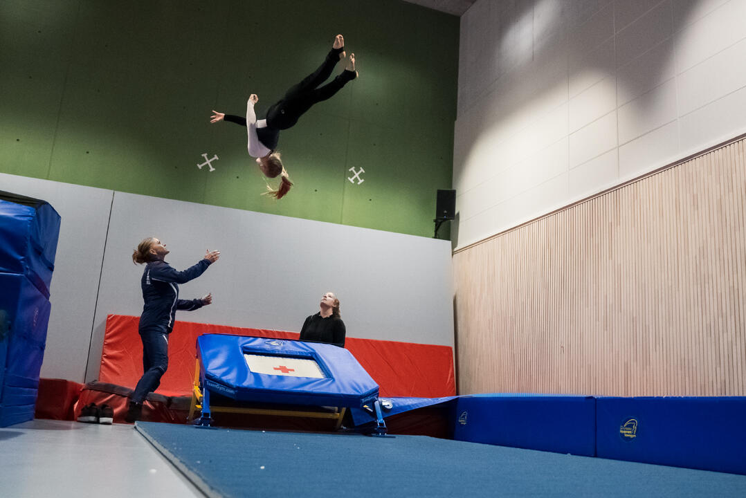 Turner i turnhallen