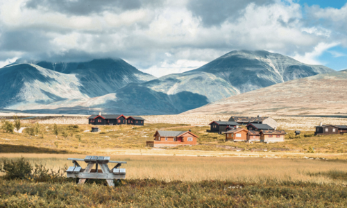 Hytta topper listen over hvor nordmenn bruker størstedelen av sommerferien sin, viser ny undersøkelse.
