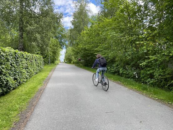 En person sykler på veien med en hekk på siden