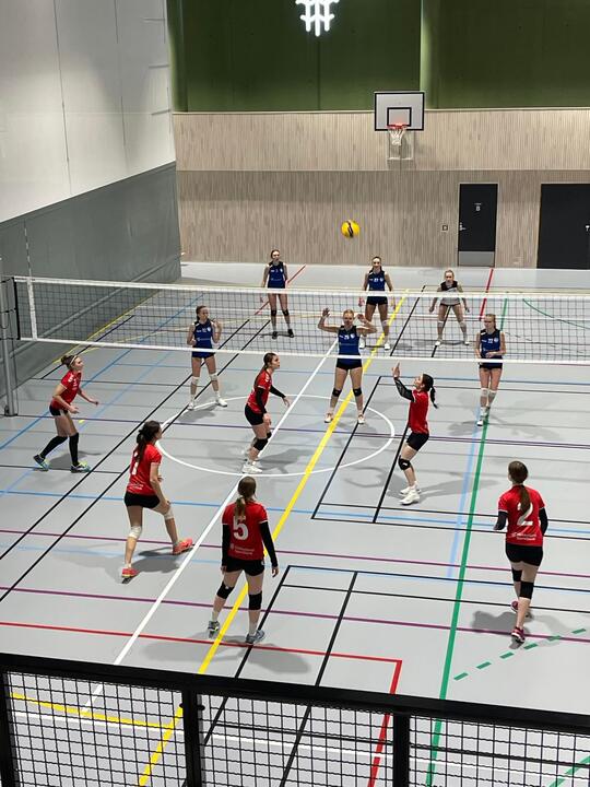 Volleyballkamper