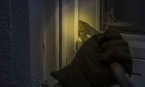 Med åpne landegrenser øker risikoen for omreisende tyveribander i hyttefelt. Foto: Fremtind.