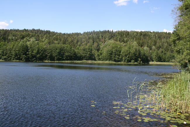 Pollevann naturreservat, foto: Olav Haaverstad