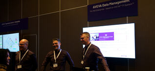 AVEVA data crop