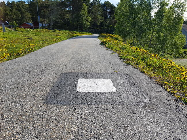 Slike signalerte fastmerker vil være et vanlig syn i vår. Foto: Marianne Fagerland Kjelstad, Kartverket