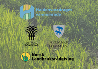 Markvandring