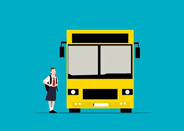Skolebuss, persontransport