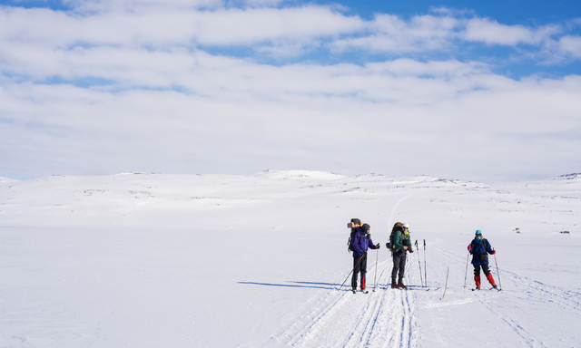 VINTERFERIE: I uke 8 og 9 er det vinterferie, og mange håper å få seg en fin skitur. Getty Images - Davor Lovincic