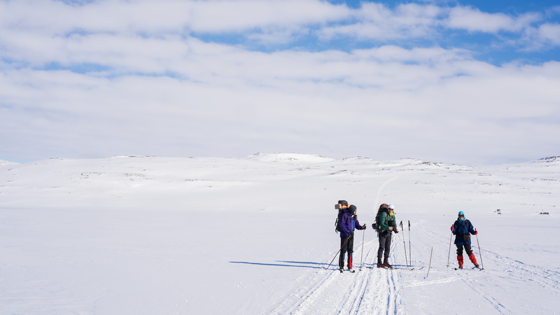 VINTERFERIE: I uke 8 og 9 er det vinterferie, og mange håper å få seg en fin skitur. Getty Images - Davor Lovincic