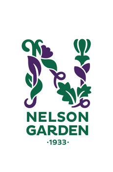 RID3369368_Nelson_Logo-RGB