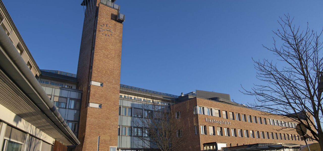 Hovedbilde