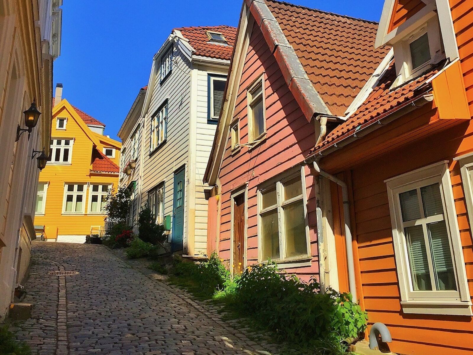 Utfordring å slokke brann i dette området. (Foto: Synnøve Haram)