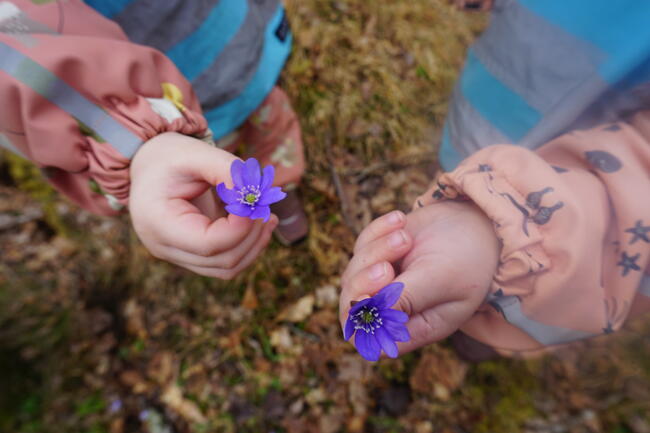 Blomster i hender