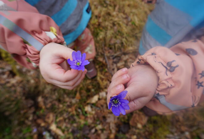 Blomster i hender