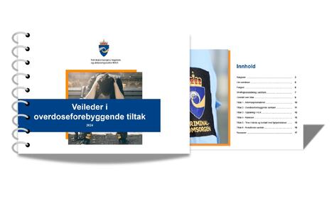 Veileder i overdoseforebyggende tiltak