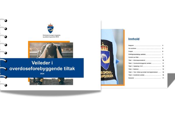 Veileder i overdoseforebyggende tiltak nedlastbar