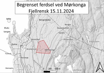 Mørkgonga