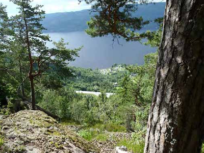 Foto: Frode Løset, Sweco Norge AS