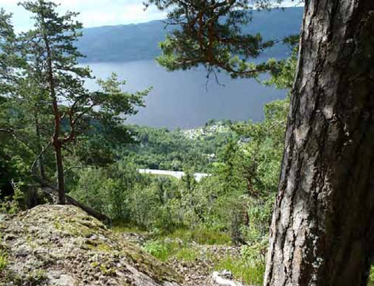 Foto: Frode Løset, Sweco Norge AS