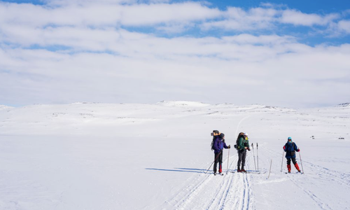 I uke 8 og 9 er det vinterferie, og mange håper å få seg en fin skitur. Getty Images - DavorLovincic