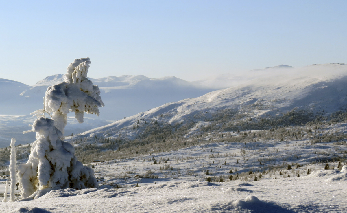 Foto: Vestre Slidre Fjellstyre