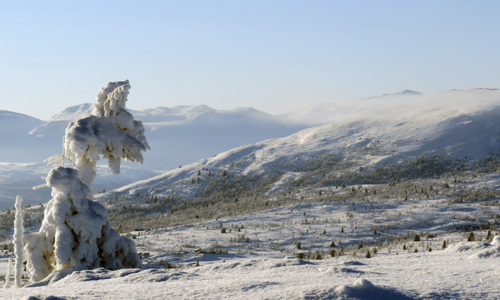 Foto: Vestre Slidre Fjellstyre