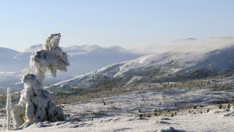 Foto: Vestre Slidre Fjellstyre