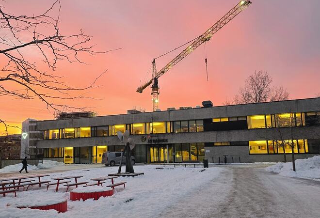 Foto av krana i Sentrumshagen i solnedgang