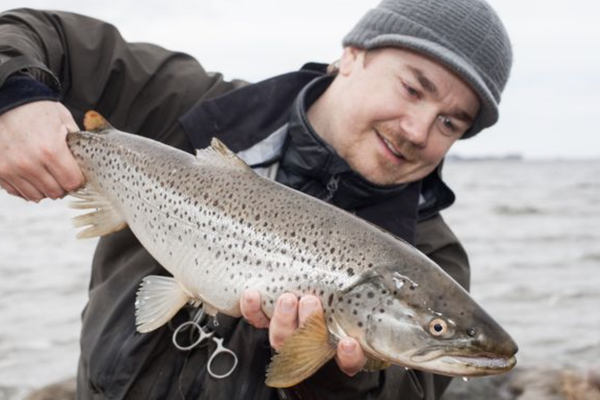 Tommy Egra er aktiv sjøørretfisker og fagansvarlig i Fishbuddy. Nå lanserer de norske apputviklerne et nytt verktøy som viser hvor det er letteste å fange sjøørret i mars og april.