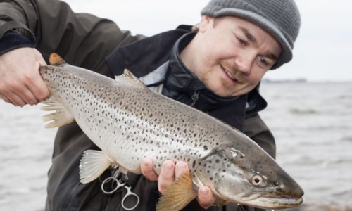 Tommy Egra er aktiv sjøørretfisker og fagansvarlig i Fishbuddy. Nå lanserer de norske apputviklerne et nytt verktøy som viser hvor det er letteste å fange sjøørret i mars og april.