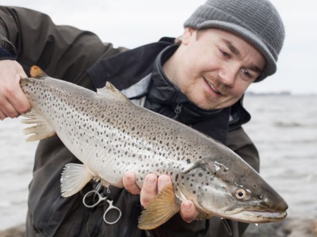 Tommy Egra er aktiv sjøørretfisker og fagansvarlig i Fishbuddy. Nå lanserer de norske apputviklerne et nytt verktøy som viser hvor det er letteste å fange sjøørret i mars og april.