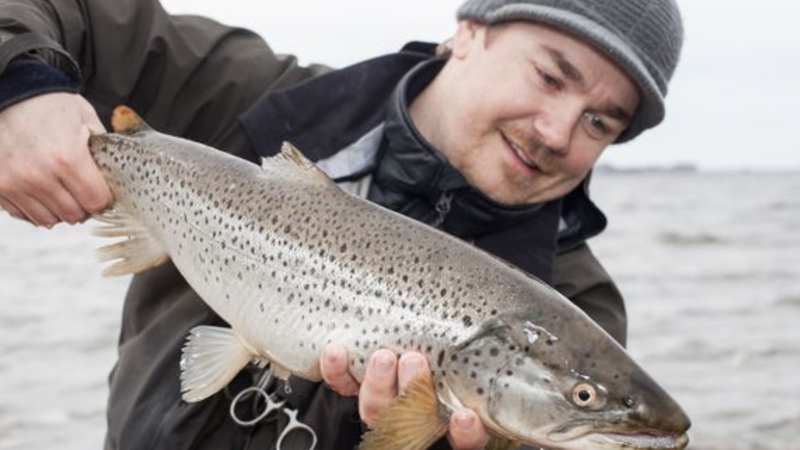 Tommy Egra er aktiv sjøørretfisker og fagansvarlig i Fishbuddy. Nå lanserer de norske apputviklerne et nytt verktøy som viser hvor det er letteste å fange sjøørret i mars og april.