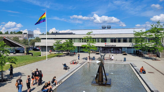 Foto av borggården tatt ovenfra