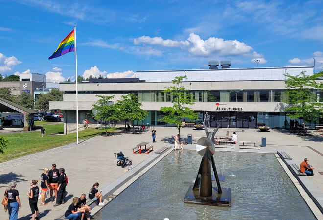 Foto av borggården tatt ovenfra